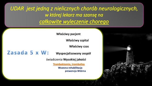 Model zasady 5xW slajd z prezentacji o udarach slajd z prezentacji