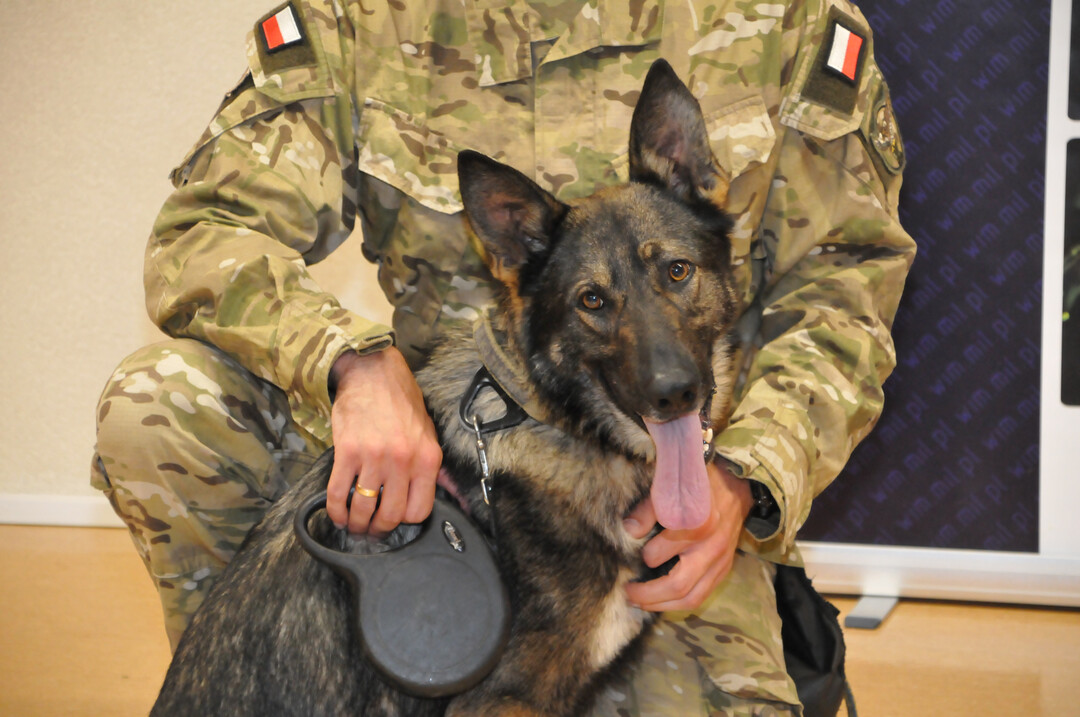 Dzień Dziecka w Wojskowym Instytucie Medycznym pies z żołnierzem