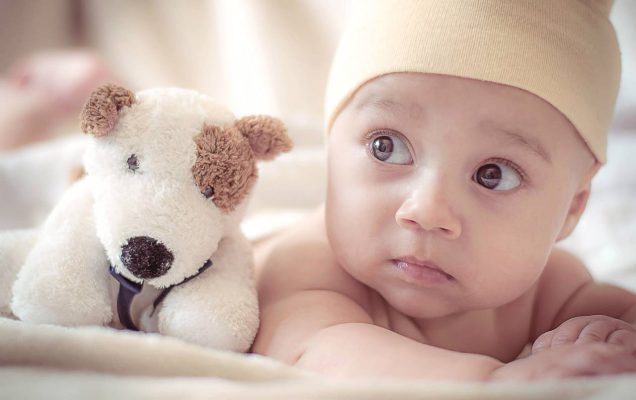 Zdjęcie niemowlęcia z maskotką pieska