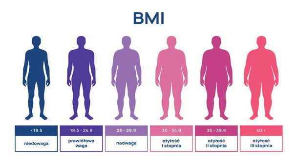 Infografika ludzkich postaci od najchydszej do najgrubszej z wymienioną skalą BMI. Od prawej:
poniżej 18.5 niedowaga, 18.5-24.9 prawidłowa waga, 25-29.9 nadwaga, 30-34.9 otyłość I stopnia, 35-39.9 otyłość II stopnia, powyżej 40  otyłość III stopnia.