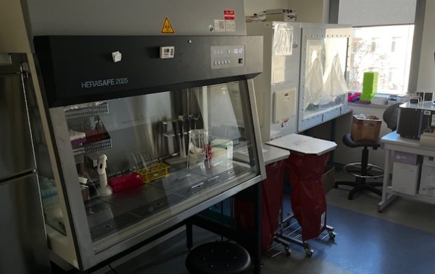 Sprzęt laboratoryjny: KOMORA LAMINARNA HERASAFE w pomieszczeniu LOMTI.