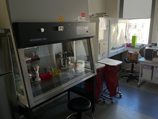 Sprzęt laboratoryjny: KOMORA LAMINARNA HERASAFE w pomieszczeniu LOMTI.