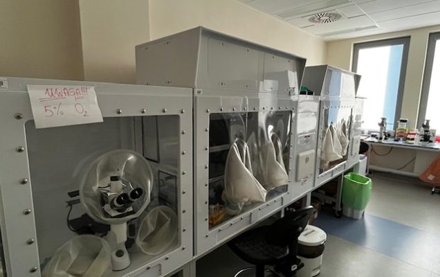 Komora do hodowli in vitro w kontrolowanych warunkach pO2, XVivo, Biospherix