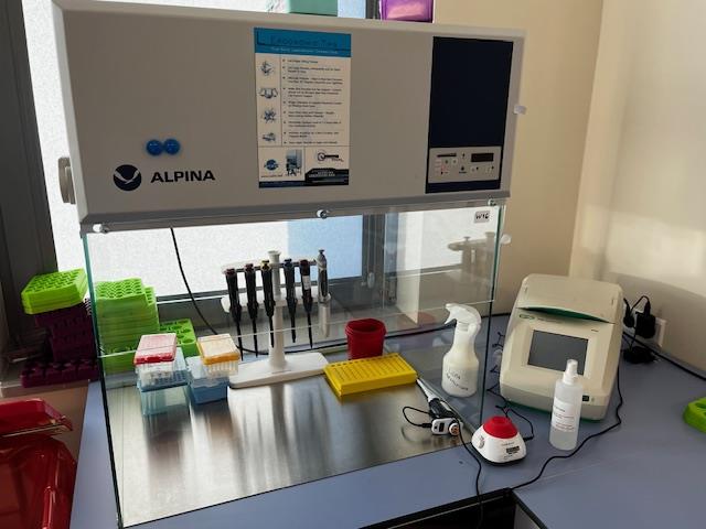 Sprzęt laboratoryjny: Komora laminarna Alpina typ K700 w pomieszczeniu LOMTI.