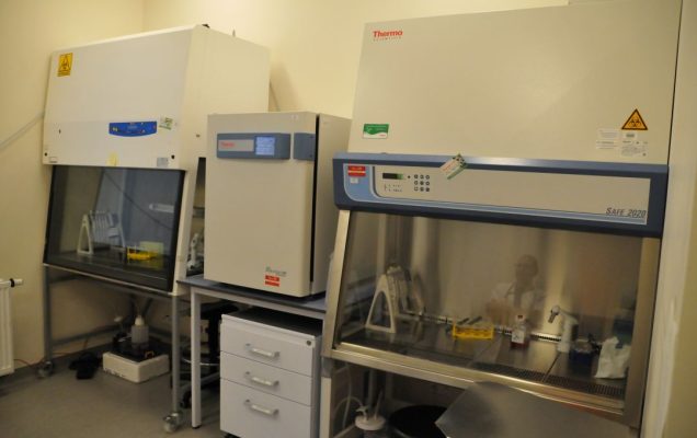 Sprzęt laboratoryjny: KOMORY LAMINARNE w pomieszczeniu LOMTI.