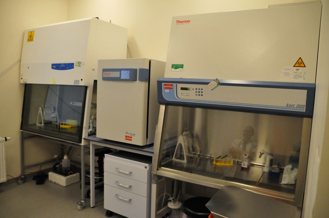 Sprzęt laboratoryjny: KOMORY LAMINARNE w pomieszczeniu LOMTI.