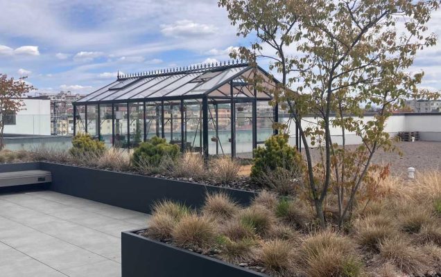 Szklany budynek w parku.