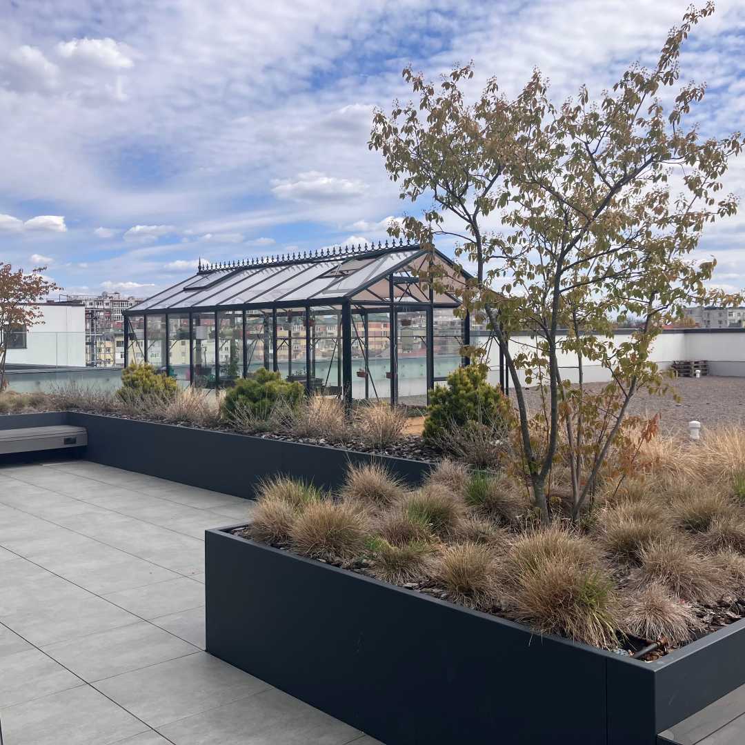 Szklany budynek w parku.