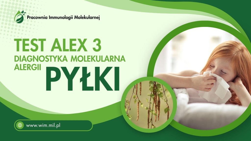 plakat alex3
