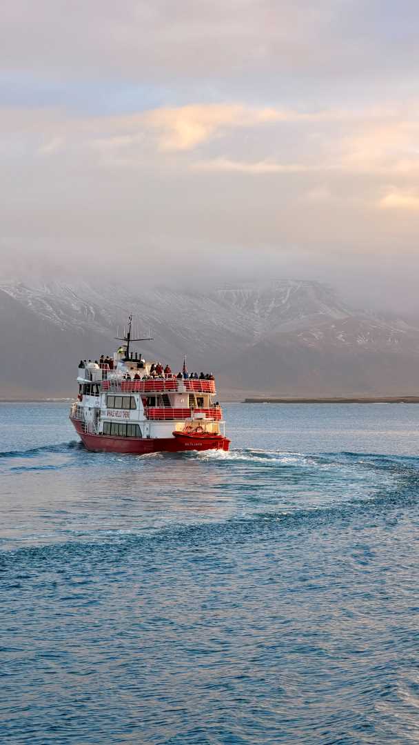 rescue_2026_w_reykjaviku_4117